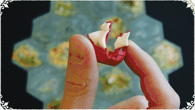 Compagnies des Indes